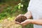 Hands of an old woman hold a sprout of a tree. Planet conservation