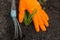 Hands in orange gloves, loosen the soil, young plant, work in the garden