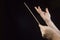 Hands of an orchestra conductor