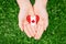 Hands palms holding round badge with red white canadian flag maple leaf on green grass