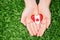 hands palms holding round badge with red white canadian flag maple leaf, on green grass forest nature background, Canada Day