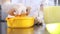 Hands pastry chef squeezed lemons on industrial kitchen worktop