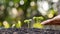 The hands of people watering small plants and the concept of environmental care.