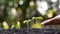 The hands of people watering small plants and the concept of environmental care.