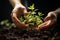 Hands of a person planting green plants in the soil, created with generative AI