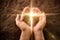 Hands with a pile of dirt with a cross-shaped flash