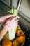 Hands in pink gloves washing celery in splashing water in sink during virus epidemic. Woman  cleaning fresh vegetables, preparing