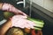 Hands in pink gloves washing celery in water stream in sink during virus epidemic. Woman  cleaning fresh vegetables, preparing for