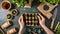 Hands planting seedlings in organic home garden. Sustainable living, gardening hobbies. Top view of a gardening