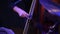 Hands playing contrabass. Very fast