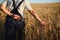 Hands pluck a bunch of wheat in order to check for the maturation of cereals in the field. the farmer checks whether the wheat is