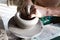 Hands of a potter manufactures clay pot