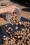 Hands pour walnuts from plastic bucket