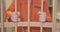 hands of prisoner in orange uniform hold the bars of the prison cell. close-up.