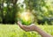 Hands protecting globe of green tree on tropical nature summer background