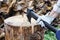 Hands in protective gloves hold ax for cracking firewood, hit for splitting into pieces