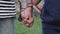 Hands with rainbow LGBT ribbons on the wrists. gay couple gently holds hands