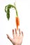 Hands reaching out to hanging carrot