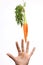Hands reaching out to hanging carrot - Series 3