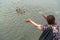 Hands releasing water snails to lake in Hanoi, Vietnam