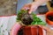 Hands removing potted String of Nickels (Dischidia Nummularia) from small plastic pot