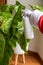 Hands of Santa Claus watering a Philodendron