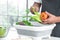 Hands of senior man washing green vegetables and tomato at home. Vegetables soak with water in basin or sink. Healthy food and