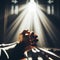 Hands set in praying position, as light beans from church window