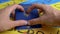 Hands in Shape of Heart Hold a Biometric Passport of Ukraine on Background Flag