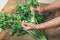 Hands share stalks of celery on green beam