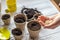 Hands of a small child planted seeds at home. Seeds of courgette or pumpkin in open palm of child. Earth day concept. nurturing