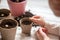 Hands of a small child planted seeds at home. Seeds of courgette or pumpkin in open palm of child. Earth day concept. nurturing