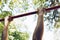 The hands of a sports athlete hold on to a metal crossbar for pull-ups on the training ground against a clear sky and green