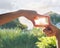 Hands symbol in front of house in sunshine nature background