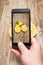 Hands taking photo of fruits on wooden.