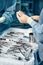 Hands of a team of surgeons close-up in the operating room during the operation, sterile instruments are laid out on the