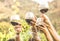 Hands toasting red wine glass and friends having fun cheering at