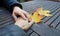 Hands together. A helping hand to a friend on the autumn background rough table with maple leaves.