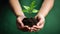 Hands together holding small plant in fertile soil on green background