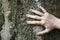 Hands on tree in nature