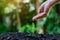 In the hands of trees growing seedlings. Bokeh green Background Female hand holding tree on nature field grass Forest conservation