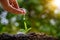 In the hands of trees growing seedlings. Bokeh green Background Female hand holding tree on nature field grass Forest conservation