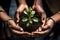 The hands of two people are holding a handful of earth with a young green sprout. The concept of a Startup