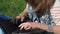 Hands typing text on the laptop. The girl in the park is typing on a laptop. Ragged jeans and hands in bracelets.