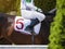 Hands and uniform of a jockey. Race horse in racing competition. Jockey sitting on racing horse. Sport. Champion