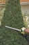 Hands of unknown man in gloves are trimming the overgrown green thuja with electric hedge trimmer on backyard of his