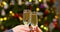 Hands of unknown people clink champagne glasses toast against Christmas tree