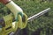 Hands of unknown worker in colorful gloves are trimming the overgrown green bush with electric hedge trimmer in sunny