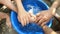 Hands wash white kitten pour water on it look for fleas in it\'s hair blue plastic basin top view