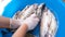 Hands washing and cleaning trout fish. Different angles included. 4k resolution.